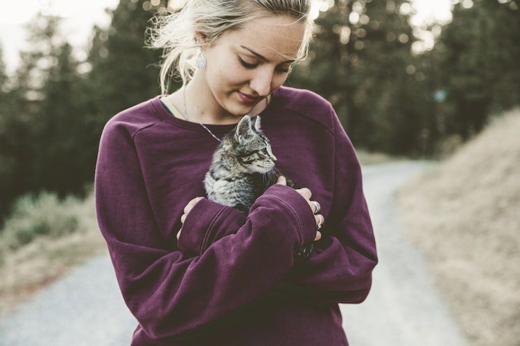 kitten, cat, pets, animals, woman with kitten, help, support, recovery